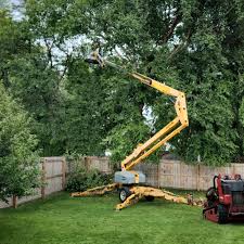 Best Storm Damage Tree Cleanup  in Muse, PA