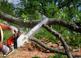 Best Lawn Grading and Leveling  in Muse, PA